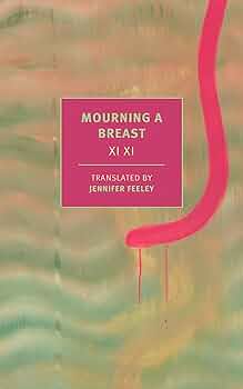 Front cover of Xi Xi's book Mourning a Breast