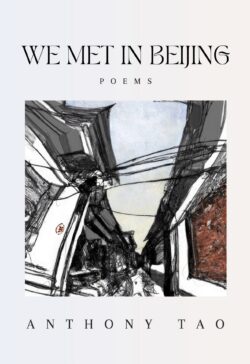 we met in beijing anthology